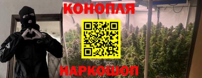 jwh Бийск
