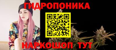 jwh Бийск