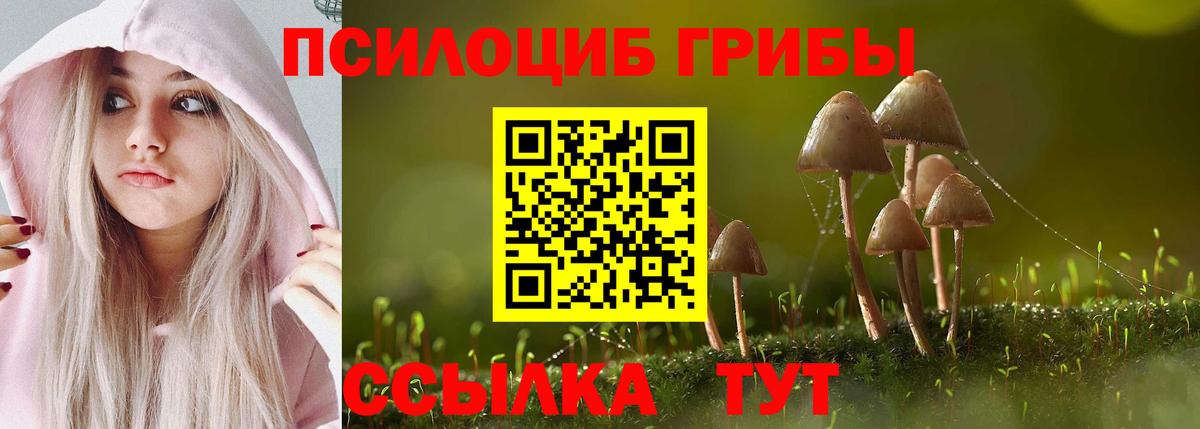Псилоцибиновые грибы Magic Shrooms Бугульма